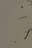 _images/f0c3fd82f3455a3bdf251a5e6f4550e4f6083462ca386858be3fa1fbb79c1b9d.png